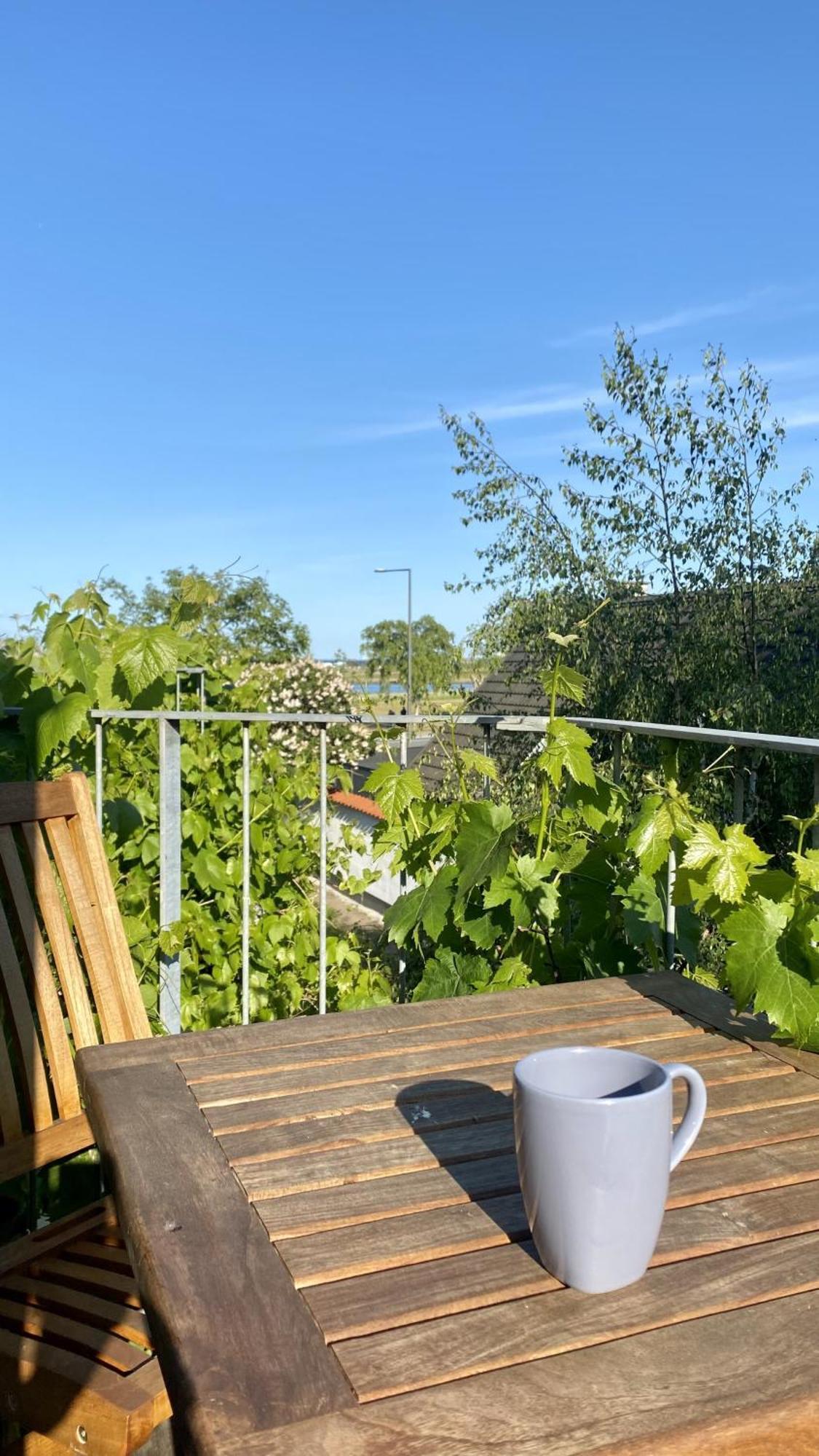 Lägenhet With Sea View